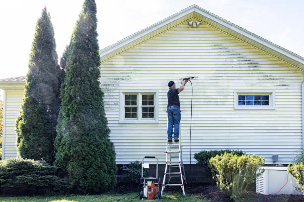 Best Roof Washing  in Vienna, VA