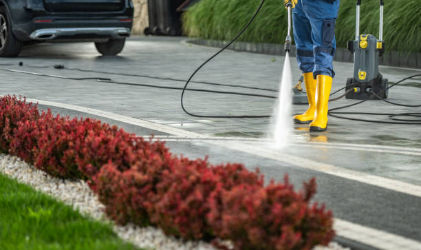 Best Patio and Deck Pressure Washing  in Vienna, VA